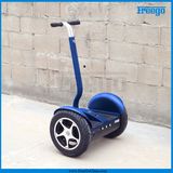 Leadway 2000W off-Road Scooter 2 Wheel Standing up Electric Scooter Scooter
