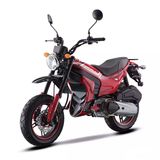 New Motorcycle with CVT Automatic Engine