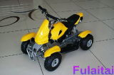 Mini ATV/Quad (FLT-49cc-Rabbit)