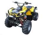 ATV (ATV-FST-110-F)