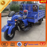 China Goods Carry Gas Motor 3cycles