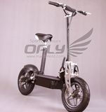 1000W Electric Scooter (ES5004)
