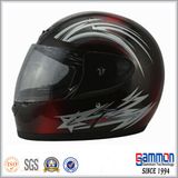 Customized Full Face Motorcycle Helmet (FL105)