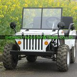 12V1200W Electric ATV