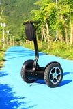 Cheap Electric Scooter for Adults