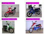 Gas Motorcycle (VS110-16/VS110-22/VS70-3 (C90)/VS110-11C)