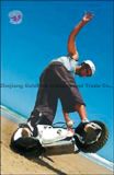 Wheelman, Motowheel, Motorized Skateboard (GFWM-001)