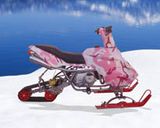 Snow Mobile