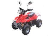 ATV/QUAD(EEC BFA-50 Air-Cooled)