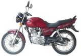 Motorcycle (QLM125-11B)