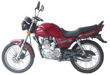 Motorcycle (QLM125-11B)