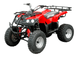 ATV / Quad (WJ250ST-5)