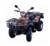 ATV(KL250S-5(EEC))