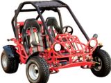 250CC Water-cooled Go Kart with EEC (QYGK005-NEW)