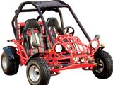 250CC Water-cooled Go Kart with EEC (QYGK005-NEW)