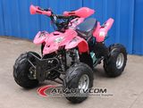 Leading Manufacture 110cc 4stroke Mini Quad for Sale