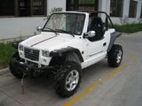 1100cc EEC 4X4 Independent Dune Jeep Buggy