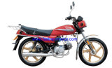 Motorcycle (FR100-C)