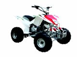 200cc ATV / QUAD for Adult (ATV-200B)