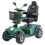 Hot Sale High Power Disabled Electric Mobility Scooter (MS-007)