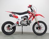 Lifan Mini Moto Bike 125cc Dirt Bike for Sale Cheap