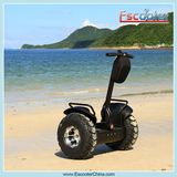 2 Wheel Smart Electric Standing Scooter