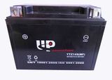 Factory Outlet! Motorcycle Battery (YTZ14S MF) 12V9.5ah