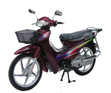 Motorcycle DFE110-3A