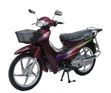 Motorcycle DFE110-3A