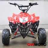 110CC ATV with Lifan Engine (QW-ATV-02A)