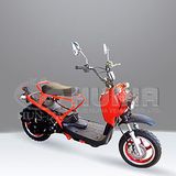 Scooter (HN50QT-11)