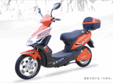 Electric Scooter (QLM-304)