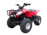 ATV 110cc (JH110ST-5)