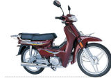 Scooter (100cc)