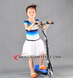 Hot Selling Electric Scooter