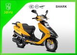 Hot Sale Gasoline 150cc Scooter (Shark-125)