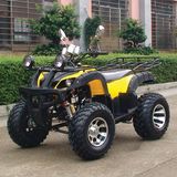 200cc ATV Popular Star, Good Quality Zc-ATV-10b (200CC)