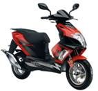 EC Gas Scooter (WJ50QT-15)