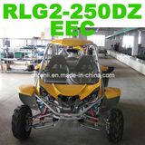 Beach Buggy EEC (RLG2-250DZ)