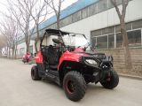 Shengwo Fang Power 150 200 Chain Drive Kids Youth China UTV Quad Mini ATV Go Kart Buggy