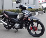 Brand New Cub Motorcycle 110cc, 120cc, 125cc