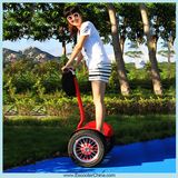 Stand up Mini Electric Mobility Scooter Self Balancing Electric Scooter Ecorider Scooter (ESIII-29)