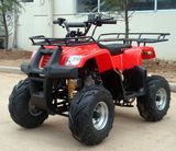 50cc Air Cooling ATV (QY50ATV-6A)