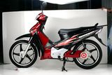 Electric Bicycle (HR-001)