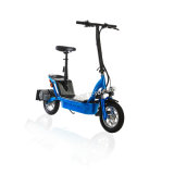 1000W Motor Foldable Balance Electric Scooter with Disk Brakes