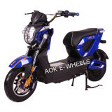 1000W Brushless Motor High Quality Electric Motorcycle (EM-012)