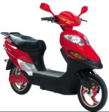 Electric Scooter (BDE-8003)