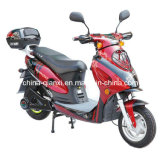 1000W Brushless Motor Electric Scooter (TD679Z)
