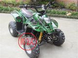 CE Approval 800W Adult Electric ATV, 9 Color Can Choose Electric ATV Quads