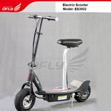 Foldable 300W Electric Scooter (ES3002)